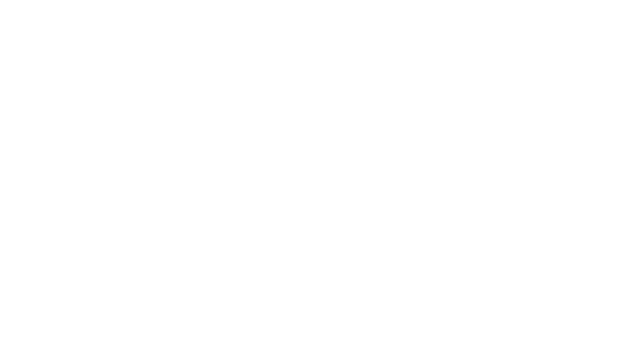 Planemasters logo